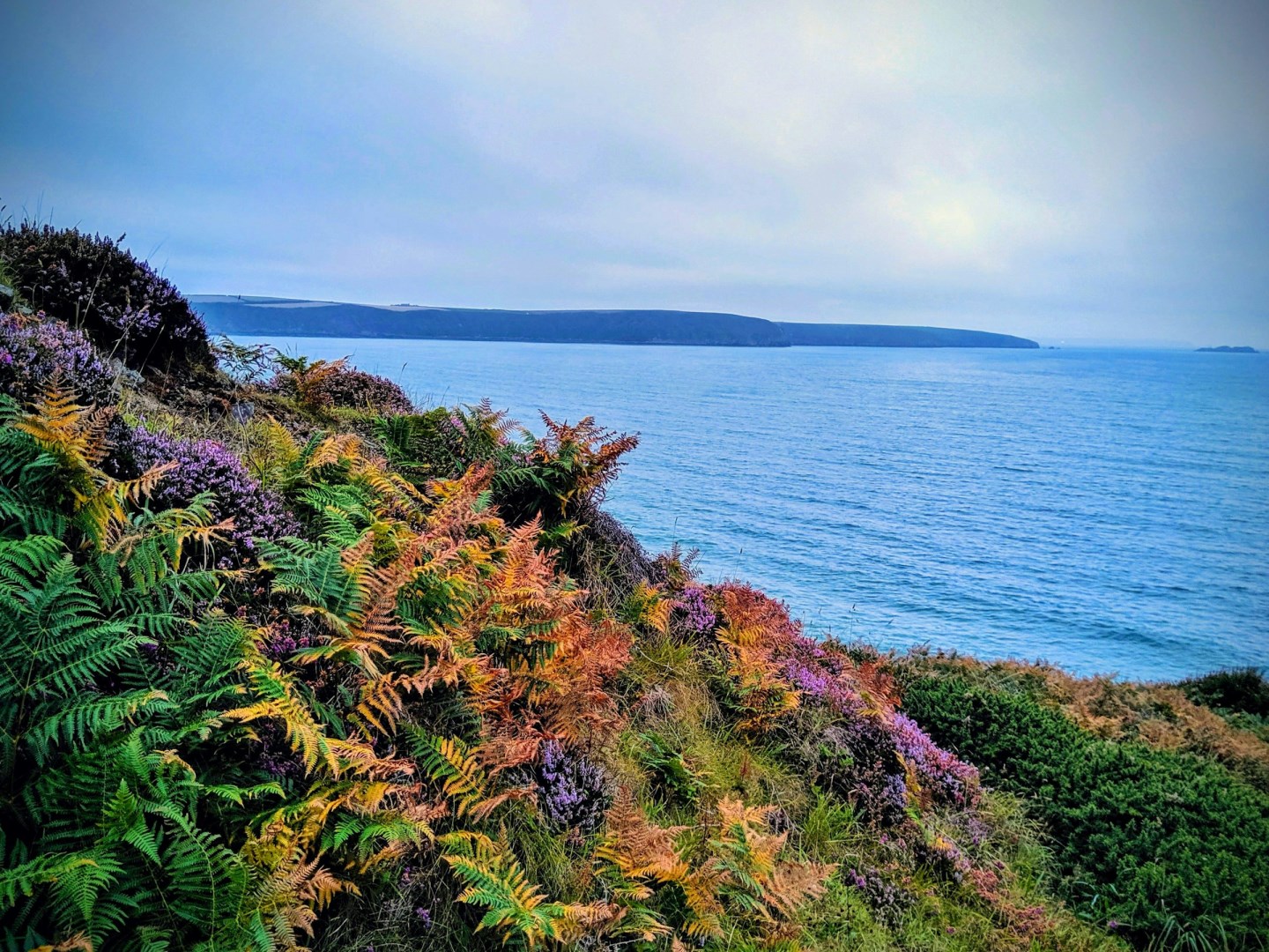  Photo Credit: Photo by John-Mark Strange on Unsplash