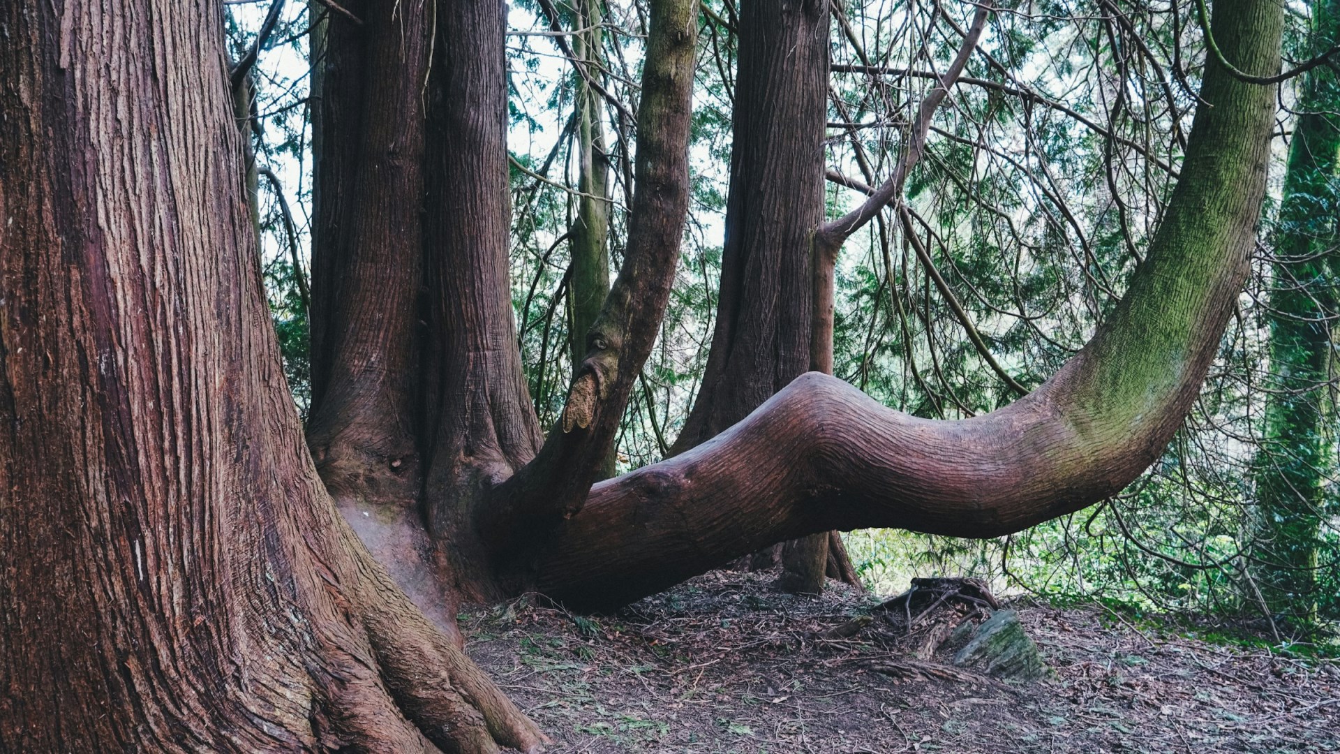  Photo Credit: Photo by Jiamin Huang on Unsplash