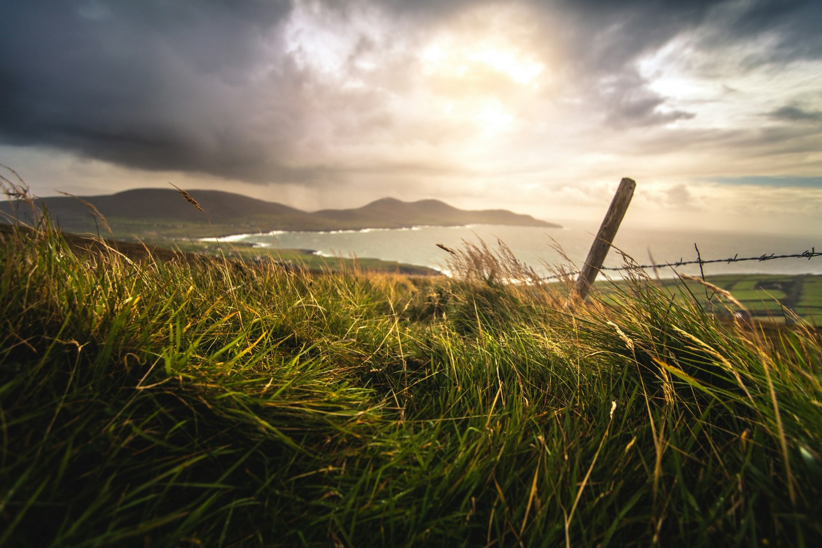  Photo Credit: Photo by Philipp Baumann on Unsplash