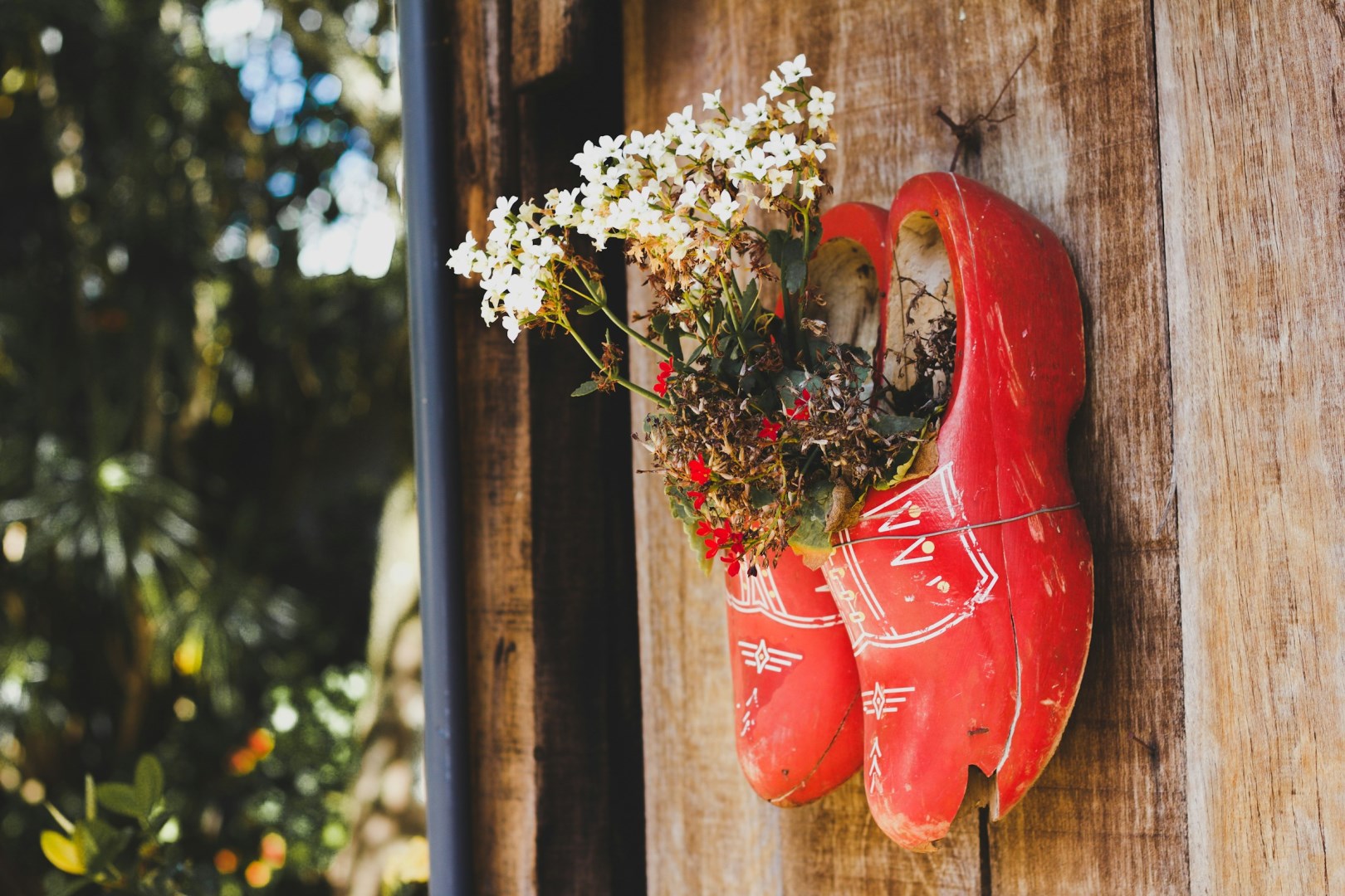  Photo Credit: Photo by silvia trigo on Unsplash