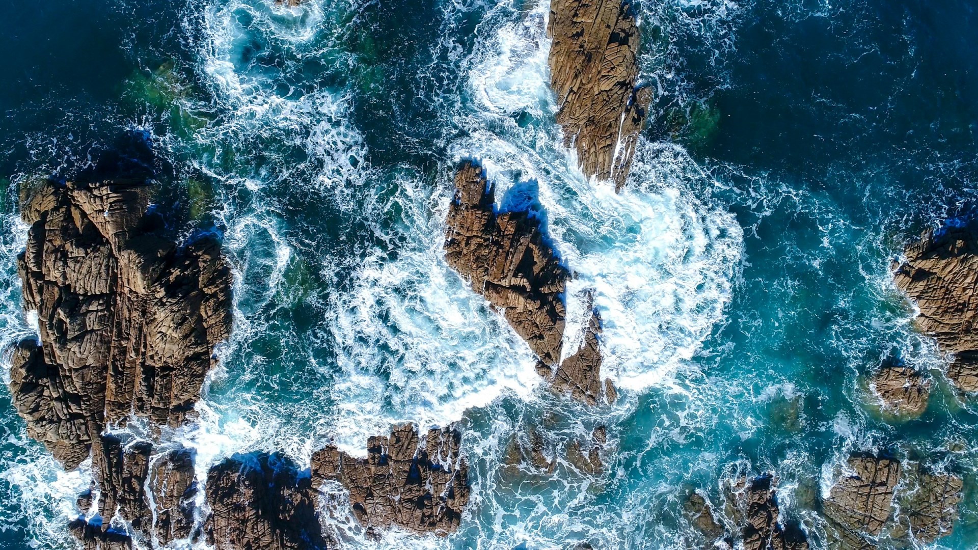  Photo Credit: Photo by Enrapture Captivating Media on Unsplash