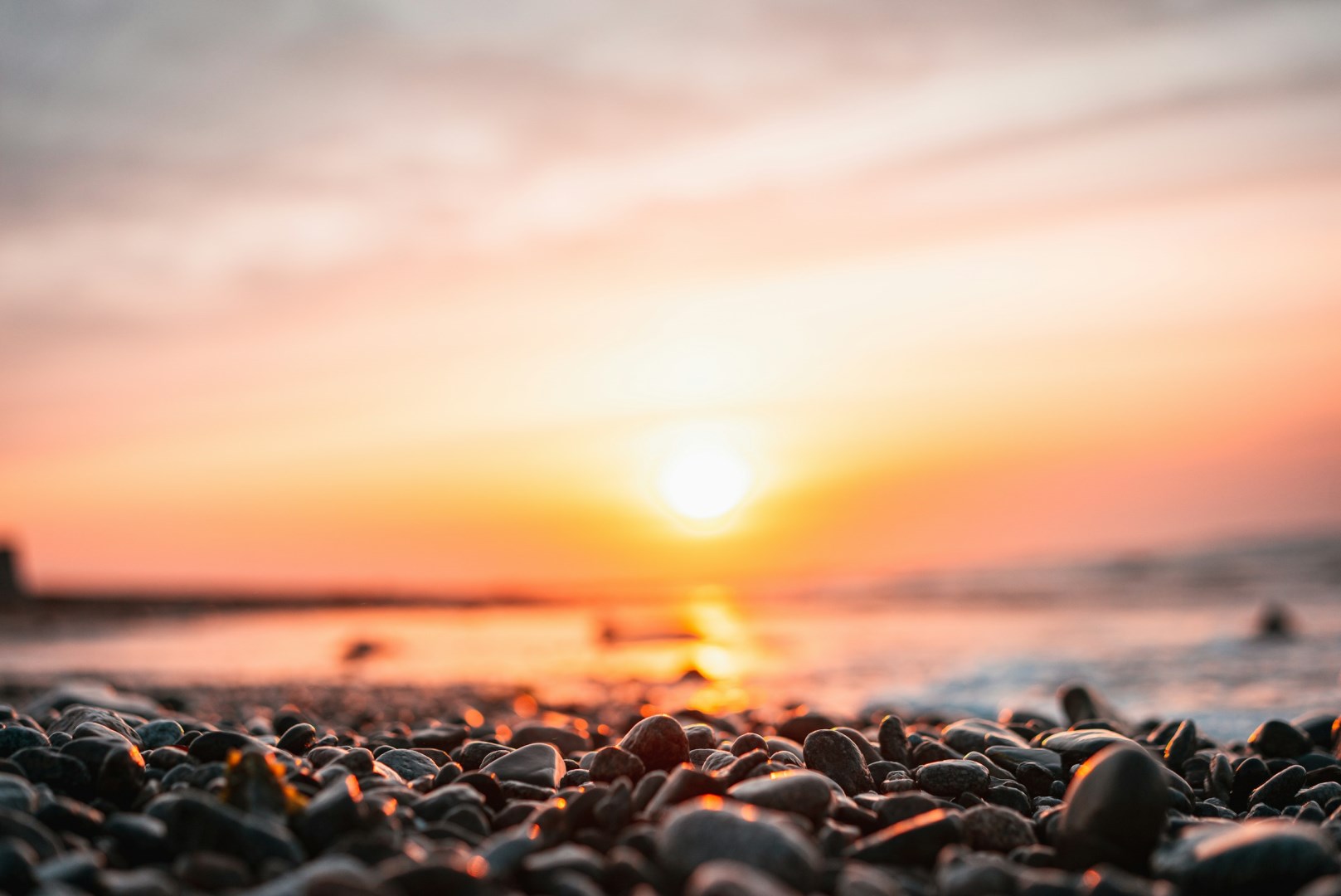  Photo Credit: Photo by isaac sloman on Unsplash