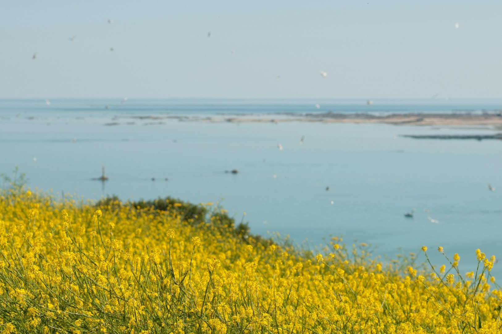  Photo Credit: Photo by Travis Leery on Unsplash