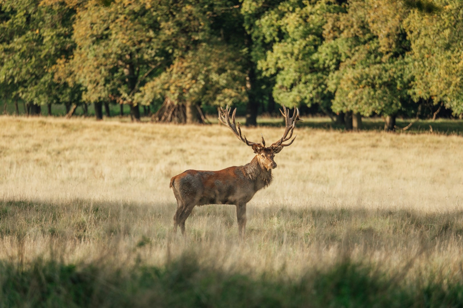  Photo Credit: Photo by Razvan Mirel on Unsplash