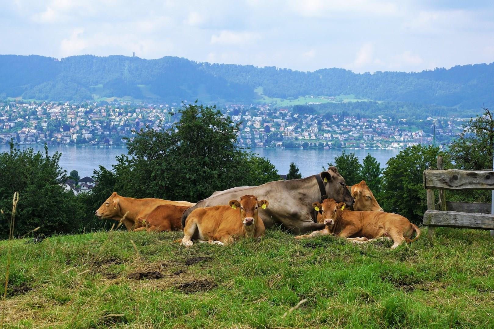Switzerland
