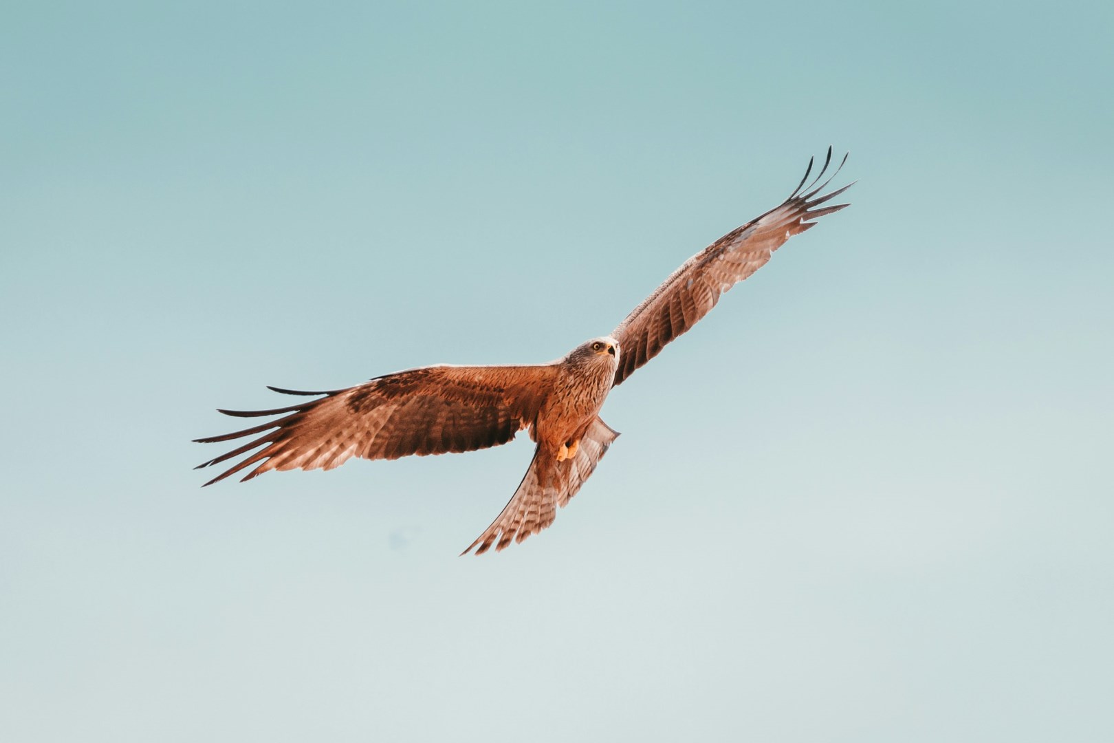  Photo Credit: Photo by Martin Adams on Unsplash
