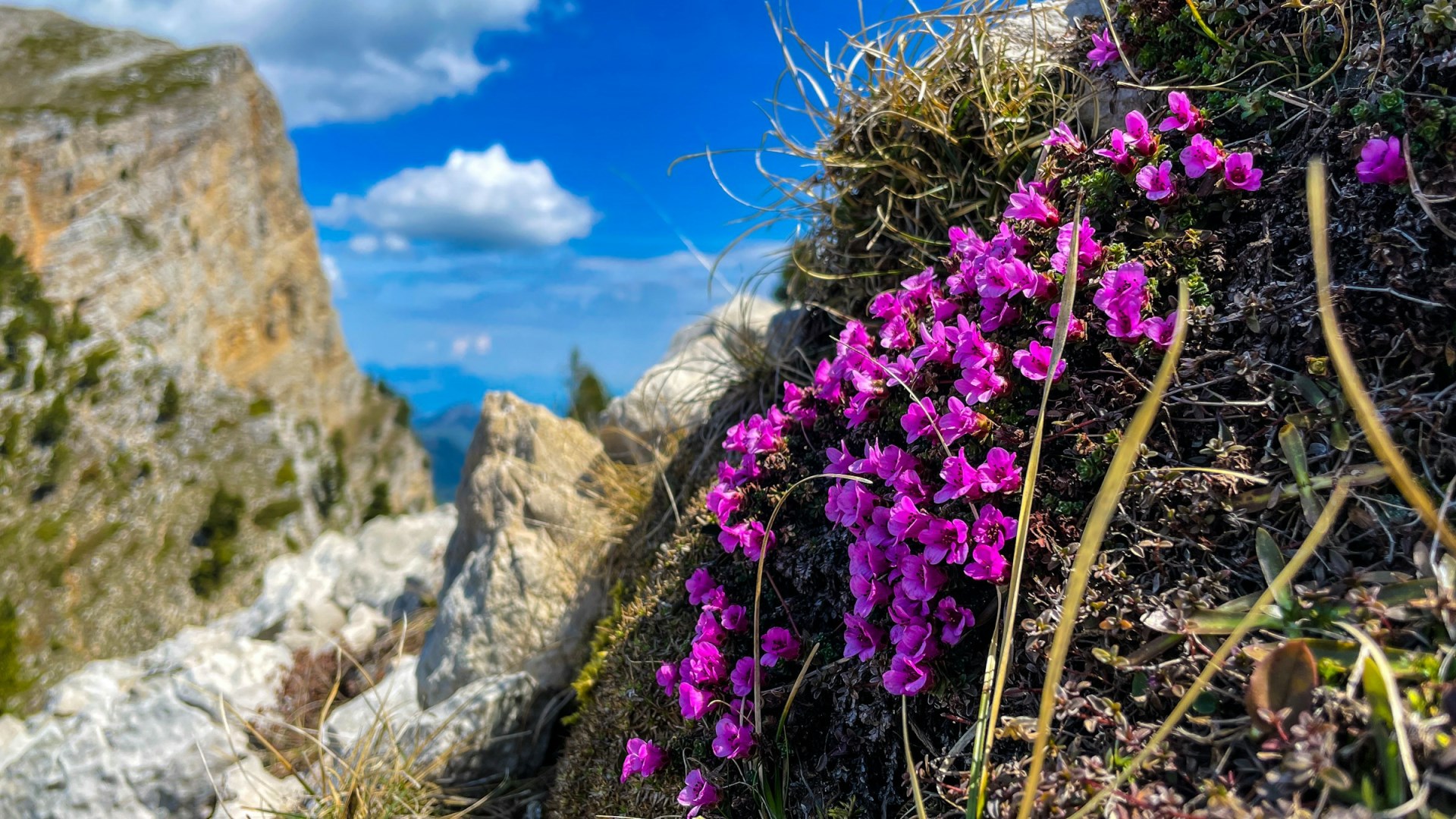  Photo Credit: Photo by Jametlene Reskp on Unsplash