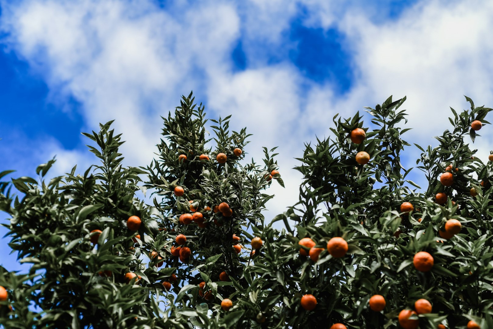  Photo Credit: Photo by Martín G on Unsplash