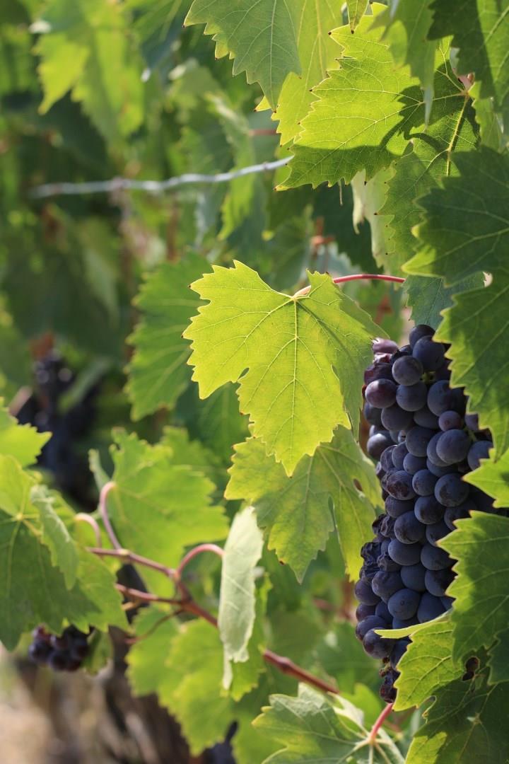  Photo Credit: dbmitc1982