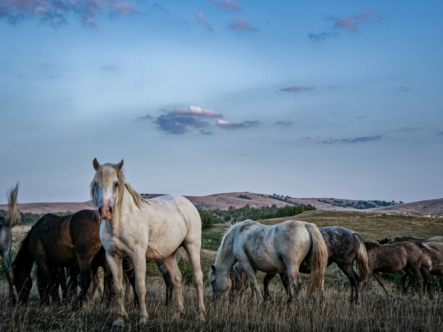  Photo Credit: Photo by Vesna Karoglan on Unsplash