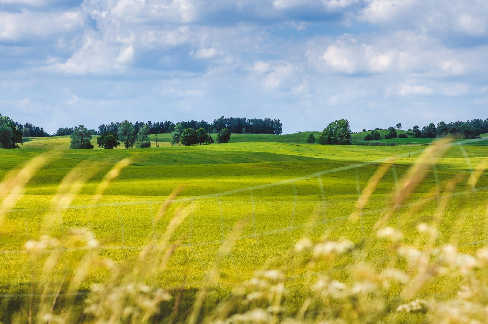 Photo Credit: Photo by Tomasz Filipek on Unsplash
