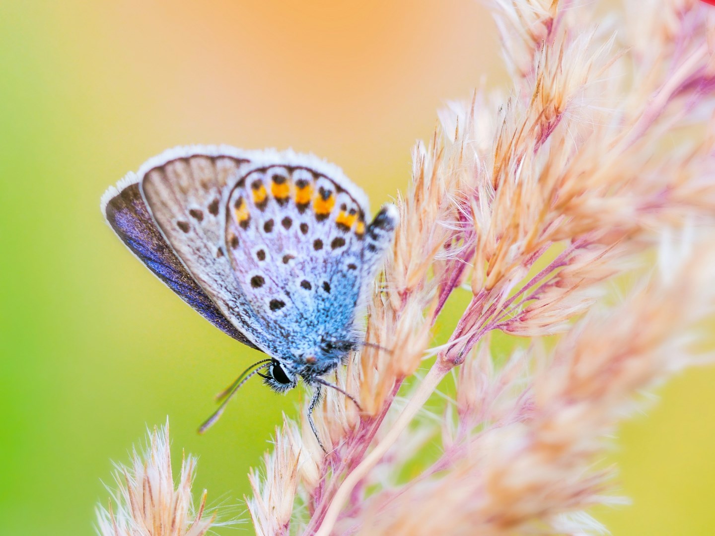  Photo Credit: Photo by Edgar on Unsplash
