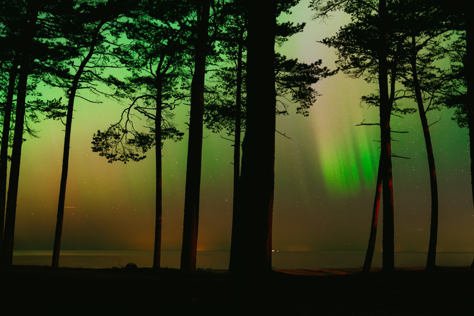  Photo Credit: Photo by Oskar Kadaksoo on Unsplash
