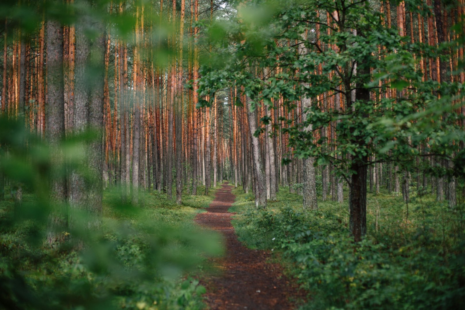  Photo Credit: Photo by Ugne Vasyliute on Unsplash