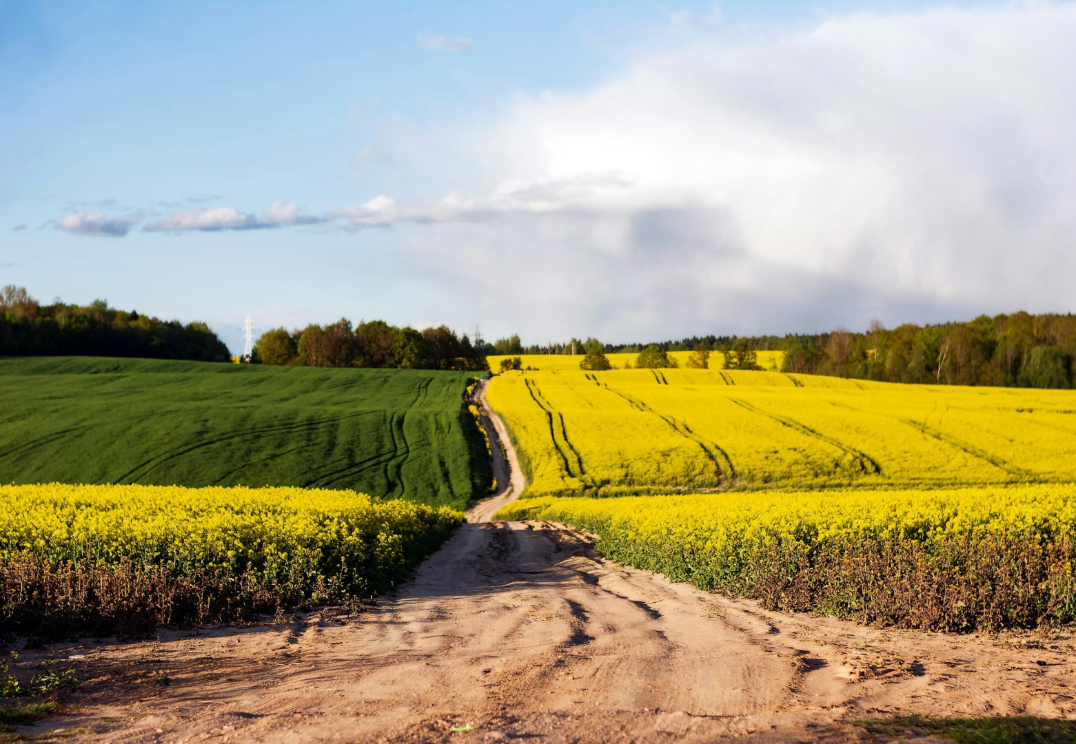  Photo Credit: Photo by Vitali Adutskevich on Unsplash