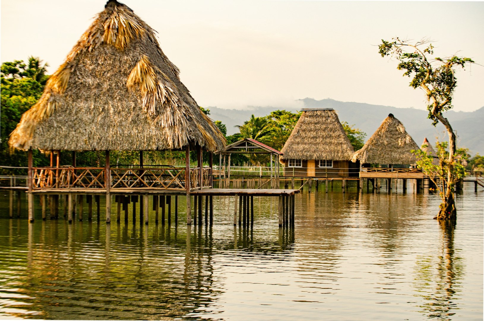  Photo Credit: Photo by Gerardo De la cruz on Unsplash