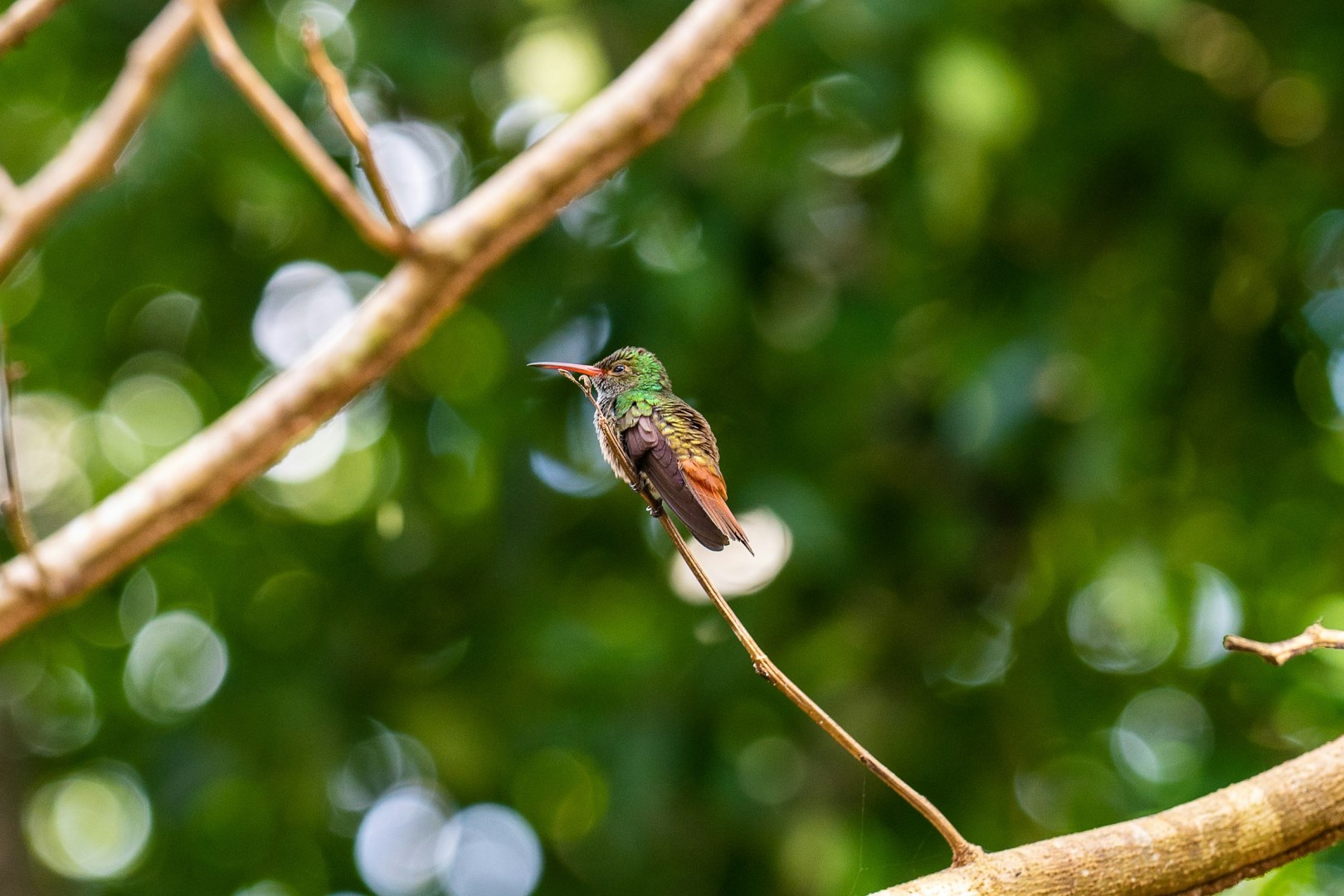 Photo Credit: Photo by Greg Ribaloff on Unsplash