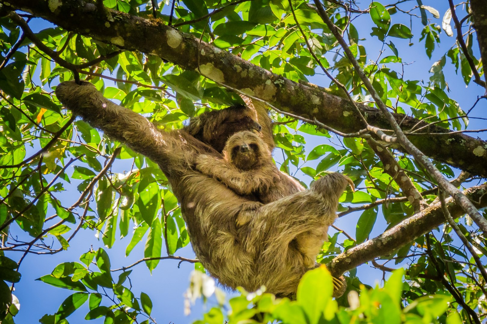  Photo Credit: Photo by Alexander Schimmeck on Unsplash
