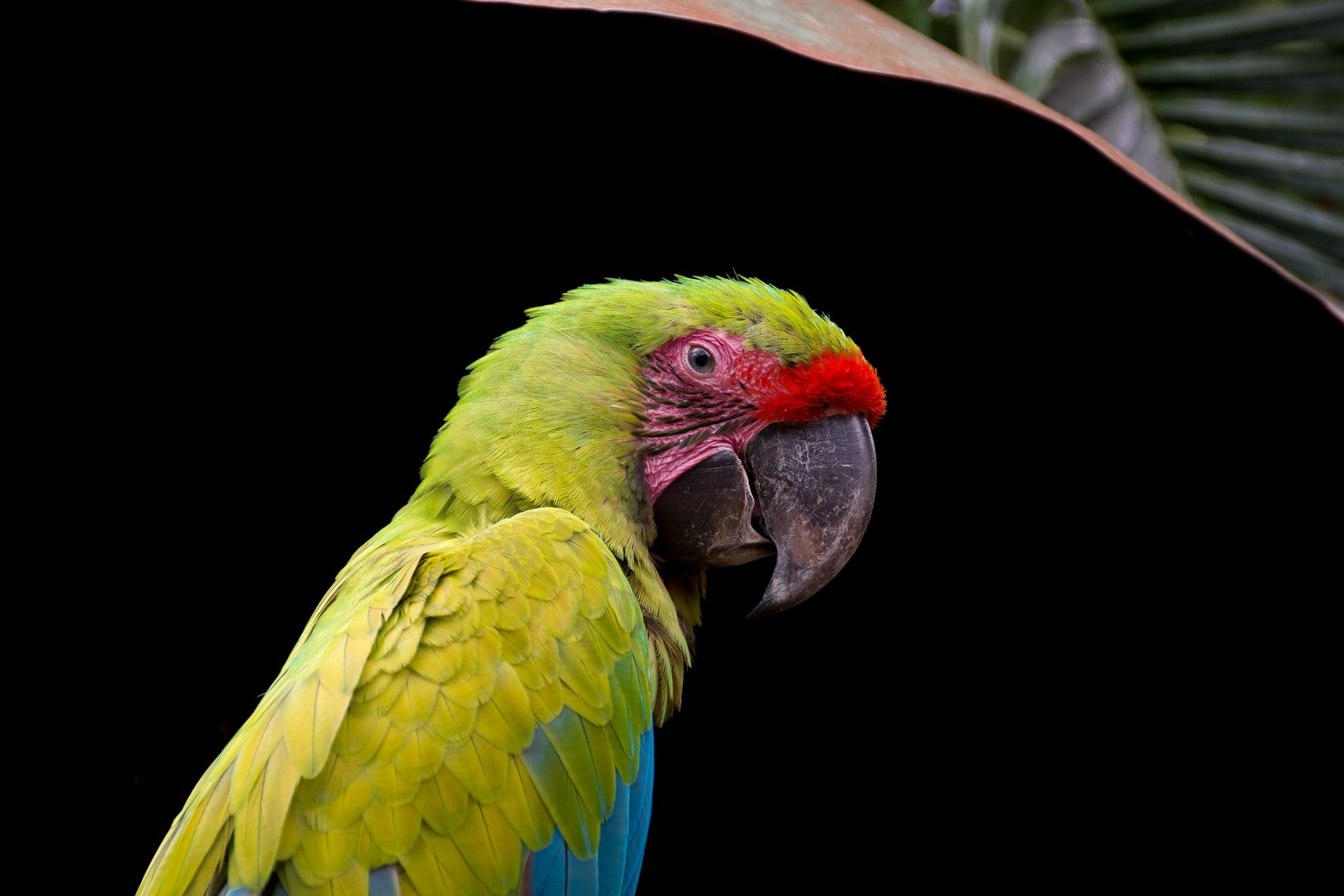 Photo Credit: Photo by Nery Montenegro on Unsplash