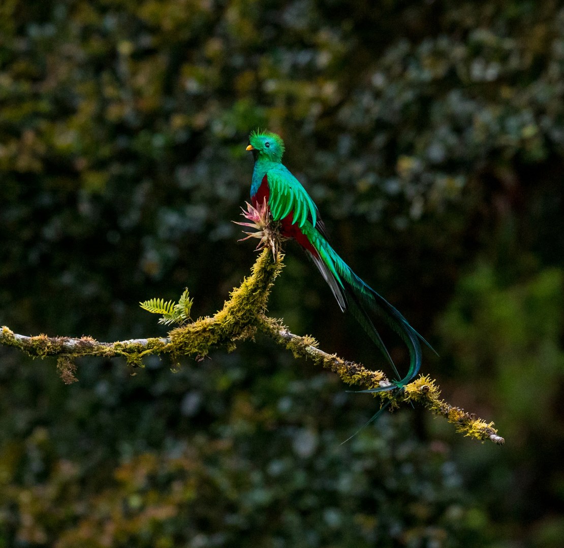  Photo Credit: Photo by Zdeněk Macháček on Unsplash