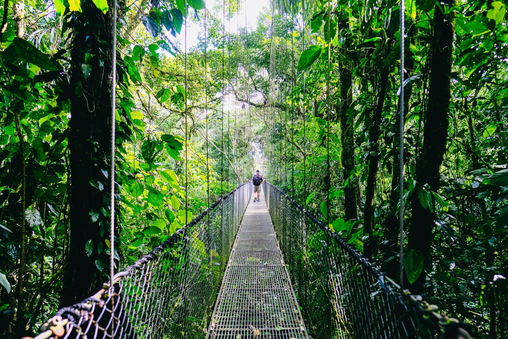  Photo Credit: Photo by Fabio Fistarol on Unsplash