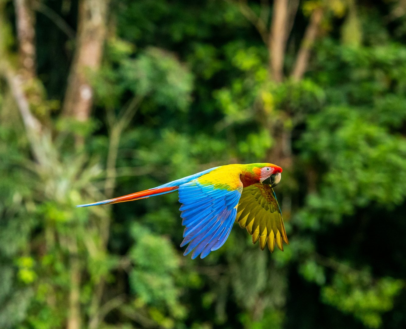  Photo Credit: Photo by Zdeněk Macháček on Unsplash