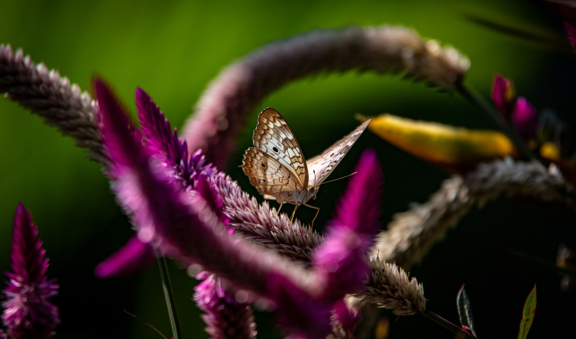  Photo Credit: Photo by Bernd 📷 Dittrich on Unsplash
