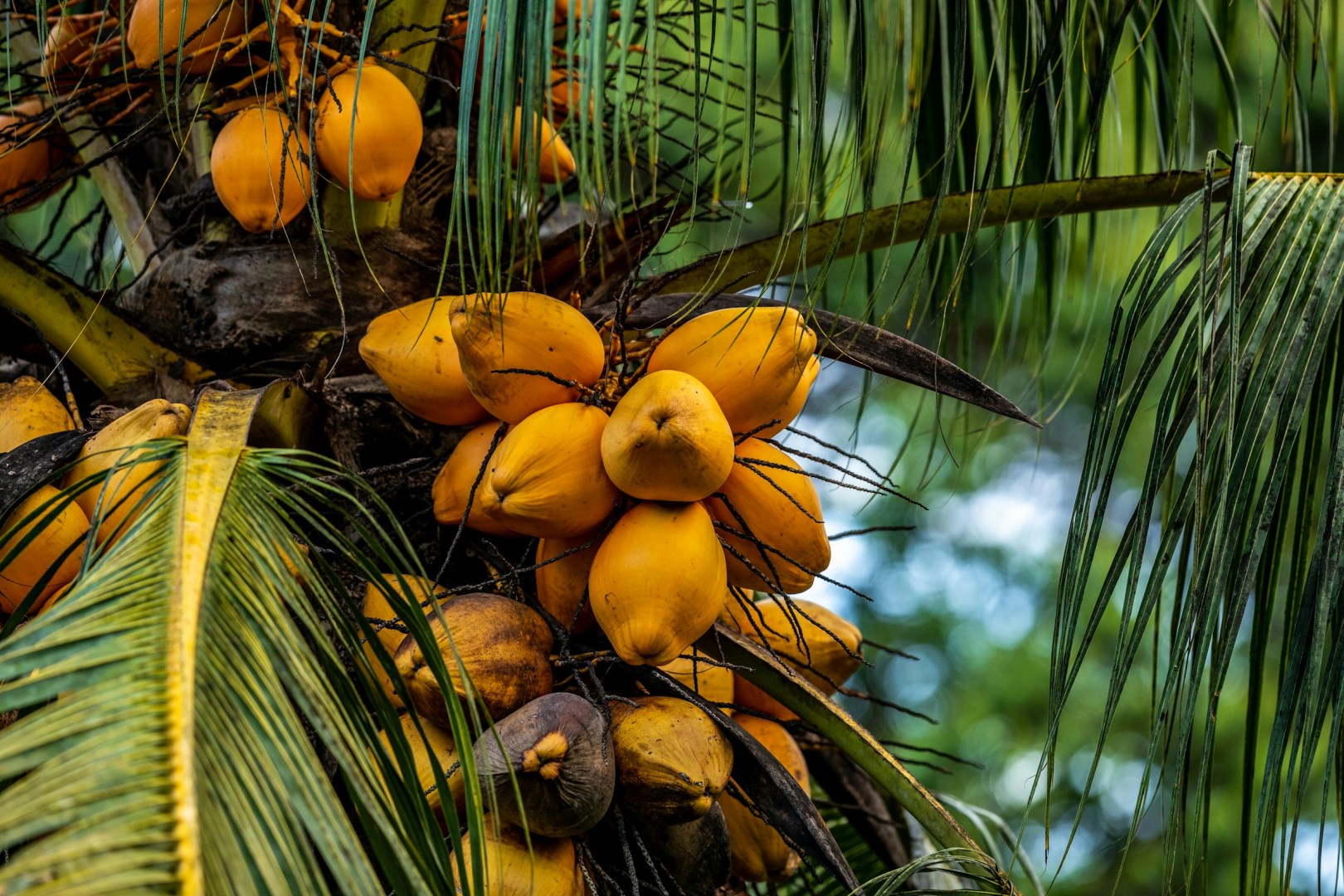  Photo Credit: Photo by Zdeněk Macháček on Unsplash