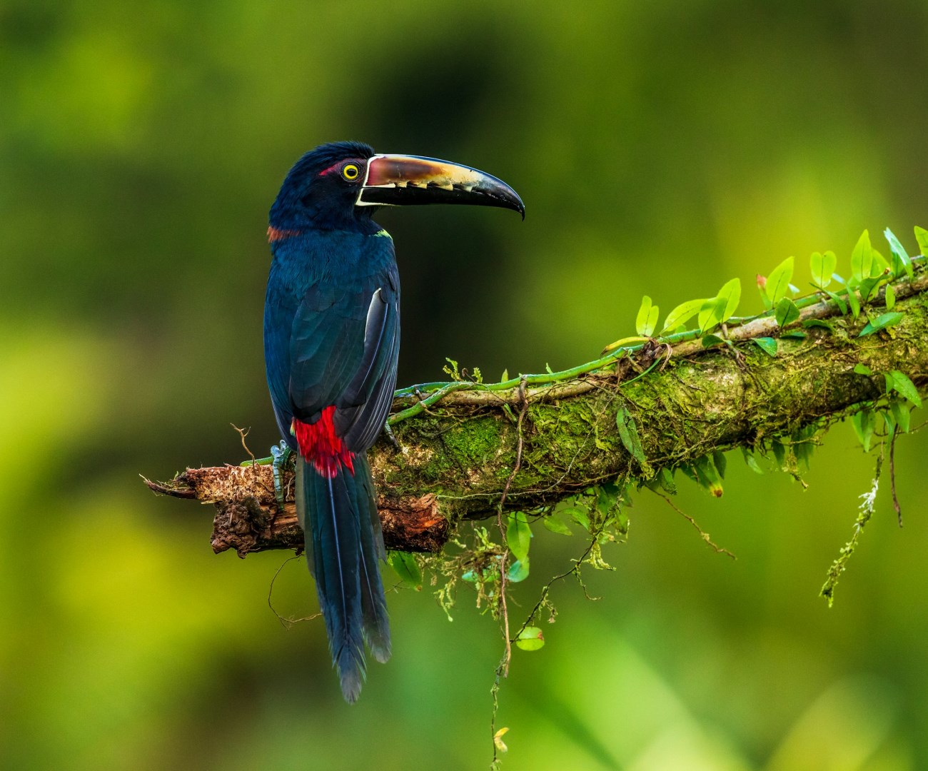  Photo Credit: Photo by Zdeněk Macháček on Unsplash
