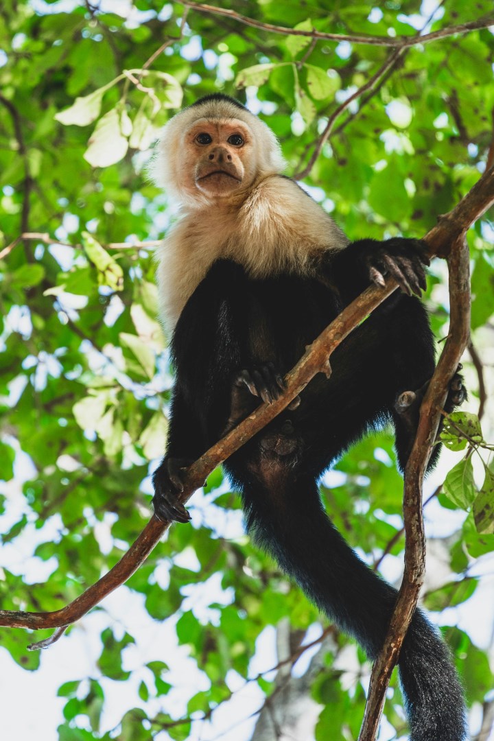  Photo Credit: Photo by Etienne Delorieux on Unsplash