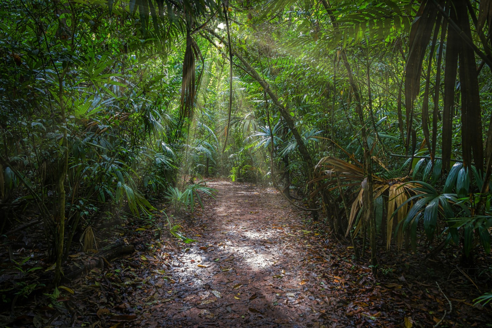  Photo Credit: Photo by Isaac Quesada on Unsplash