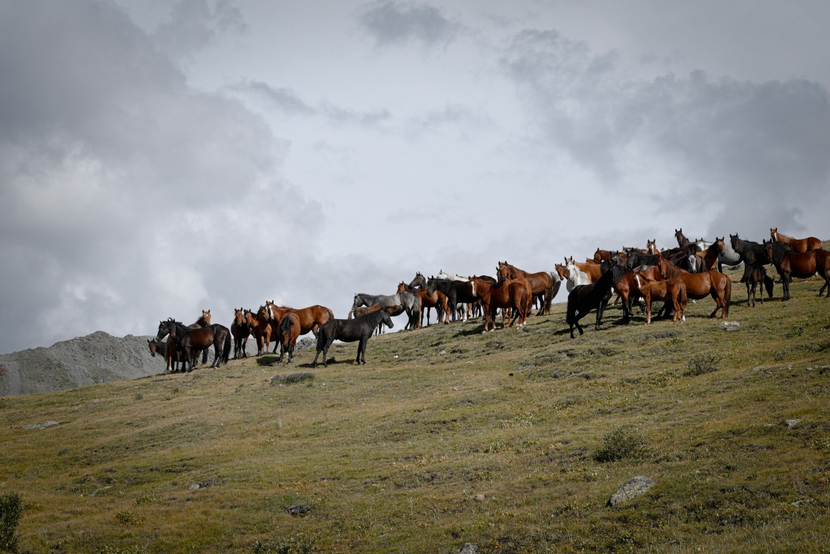  Photo Credit: Photo by Ivan Oleynikov on Unsplash