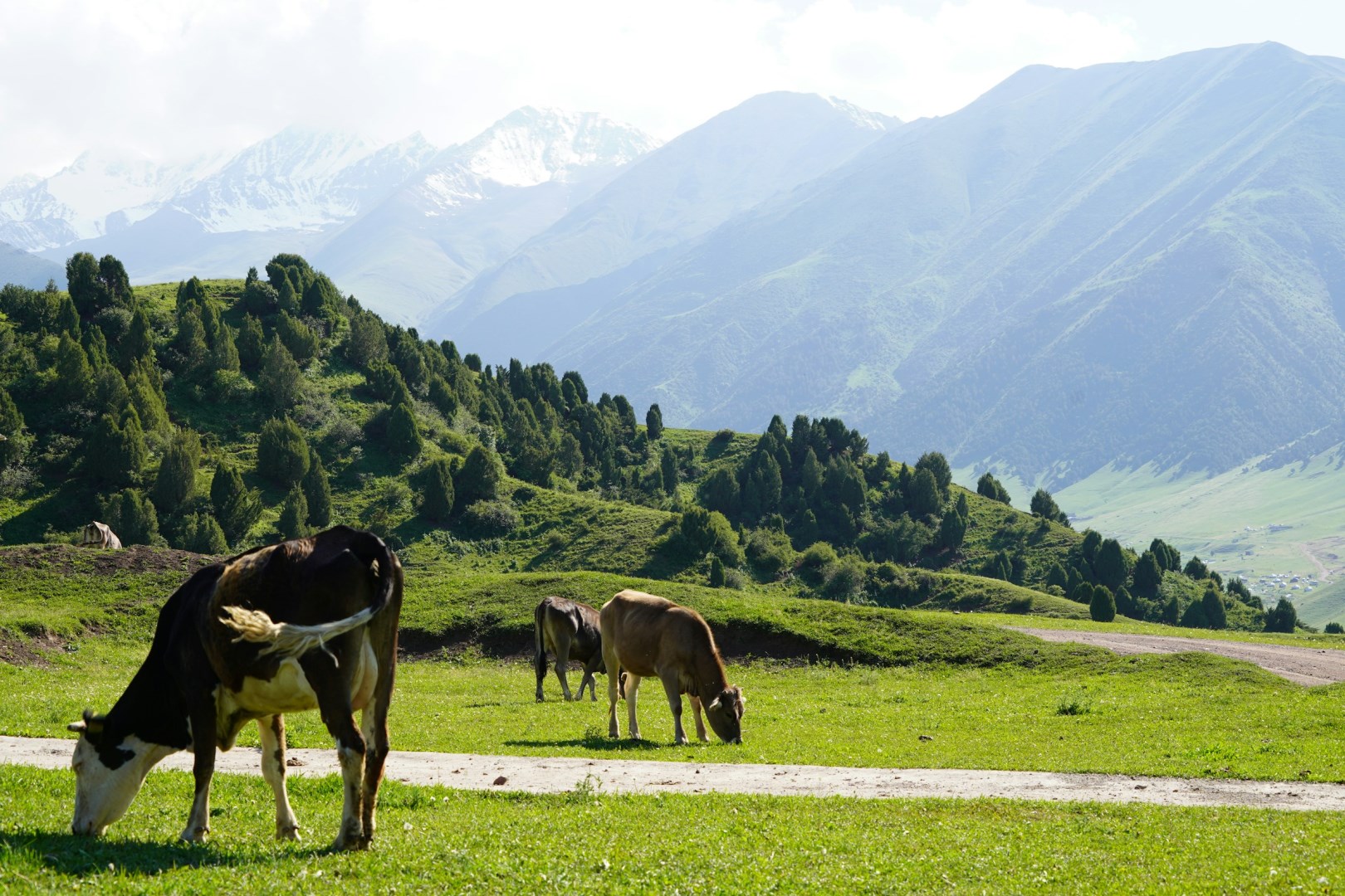  Photo Credit: Photo by Malik Osmonov on Unsplash