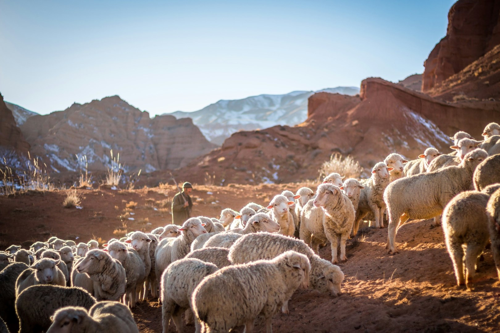  Photo Credit: Photo by Patrick Schneider on Unsplash