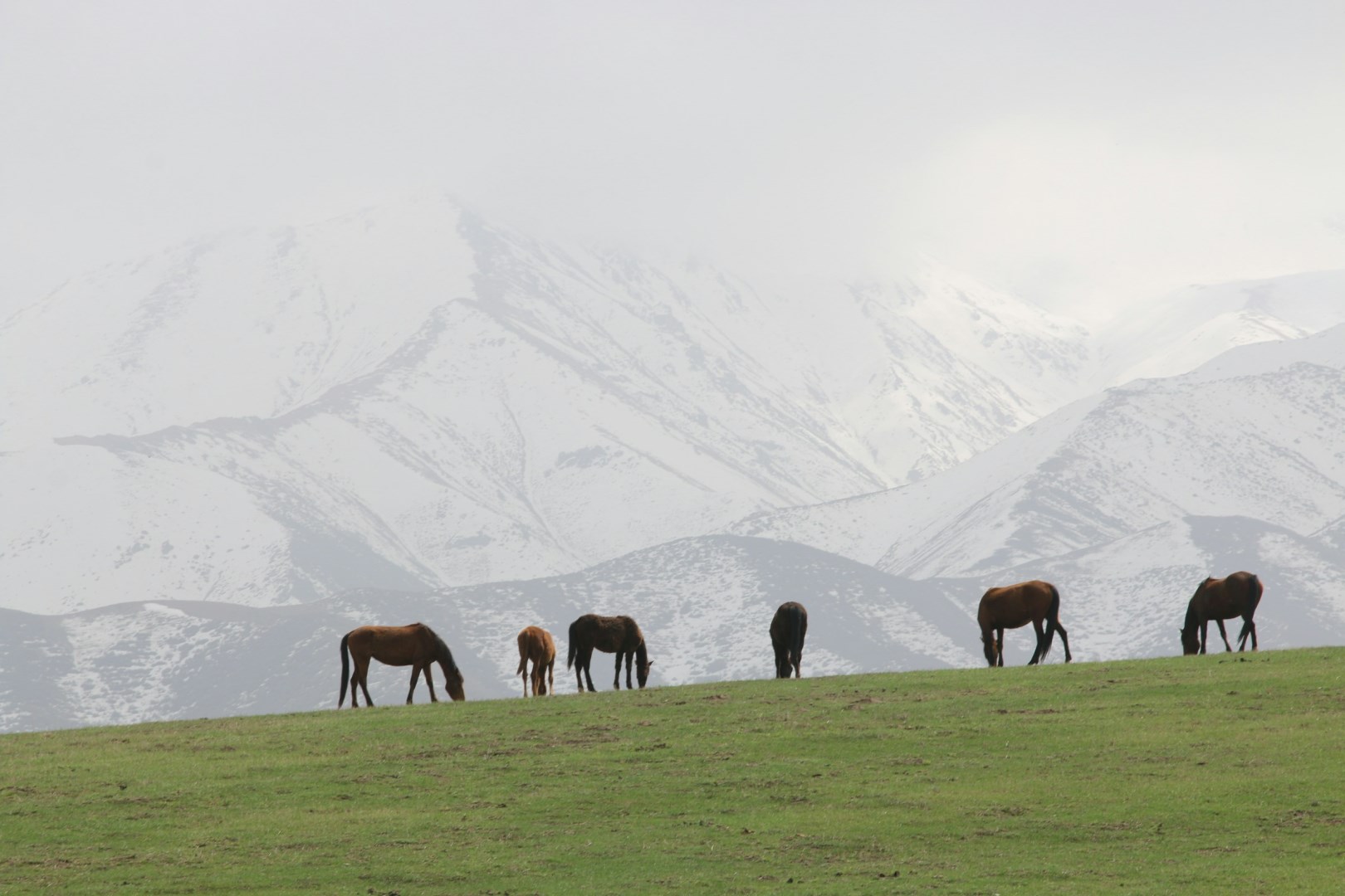  Photo Credit: Photo by Natalia Slastnikova on Unsplash