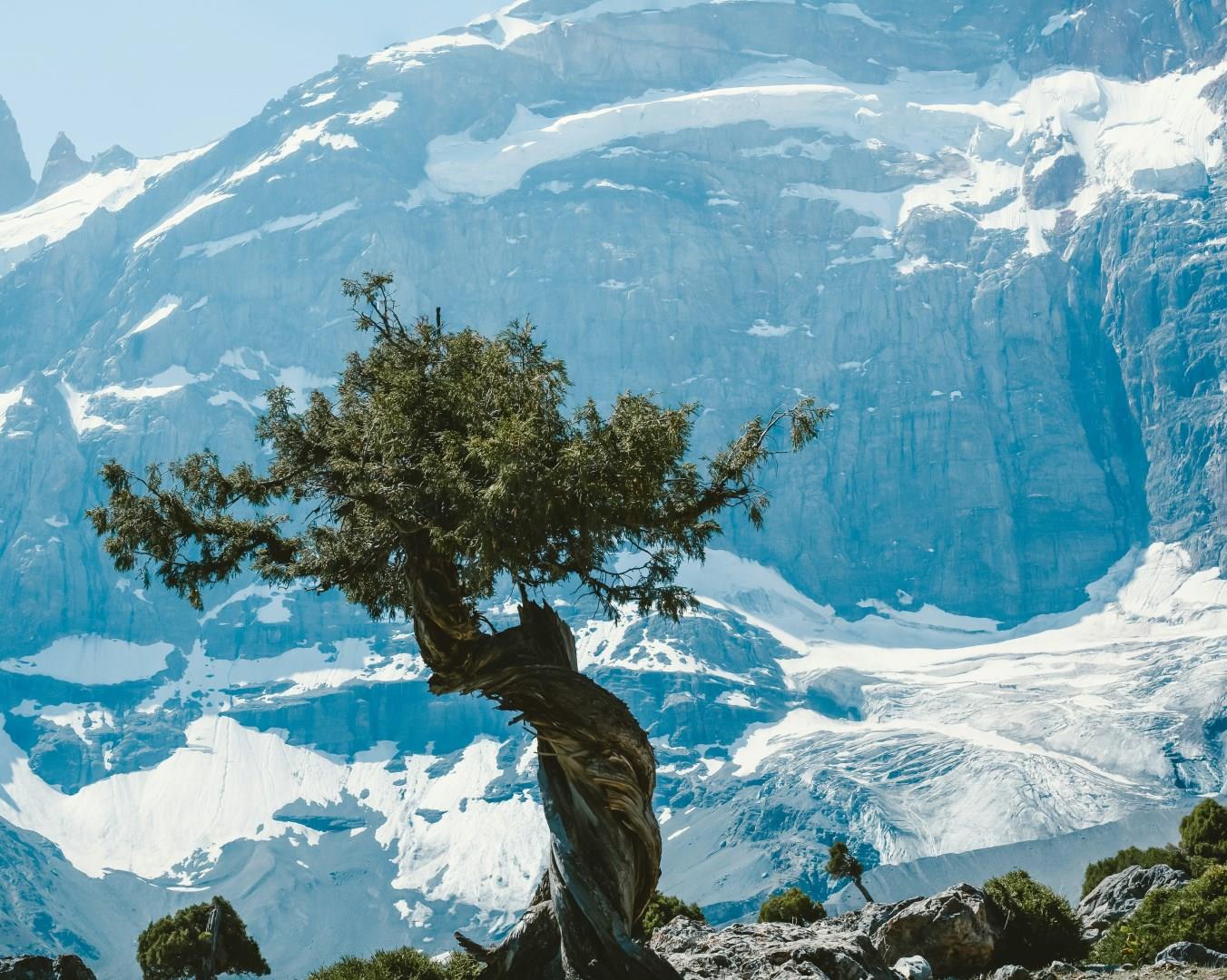 Tajikistan