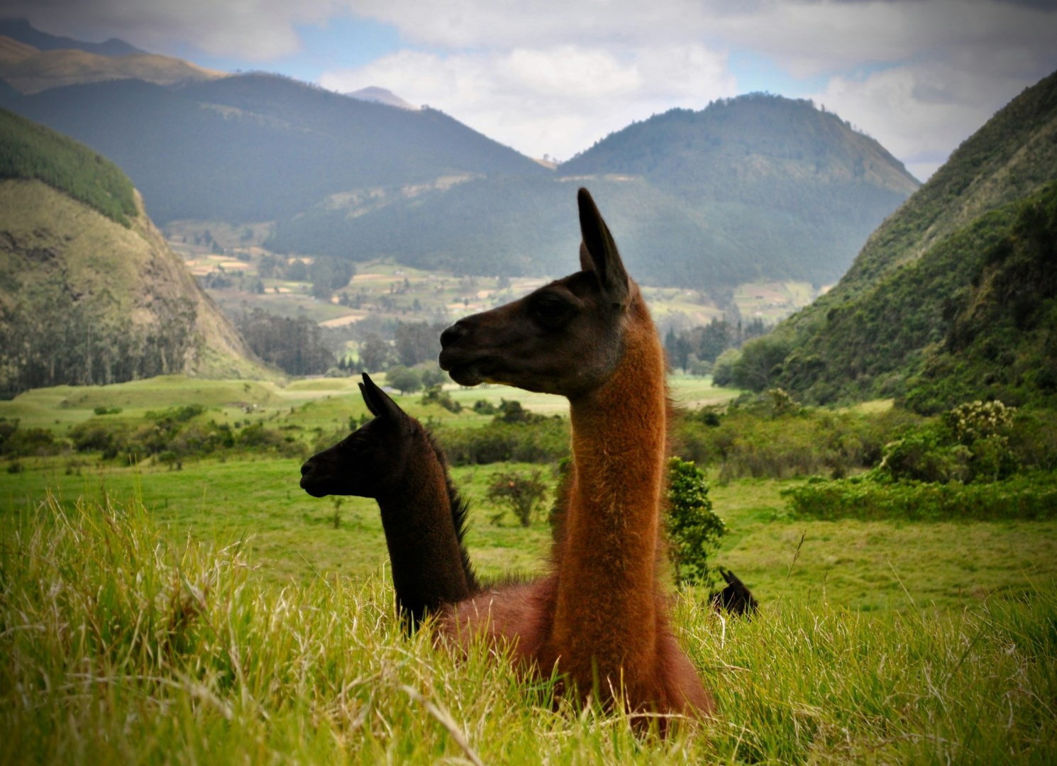  Photo Credit: Photo by Maria Baltazzi on Unsplash