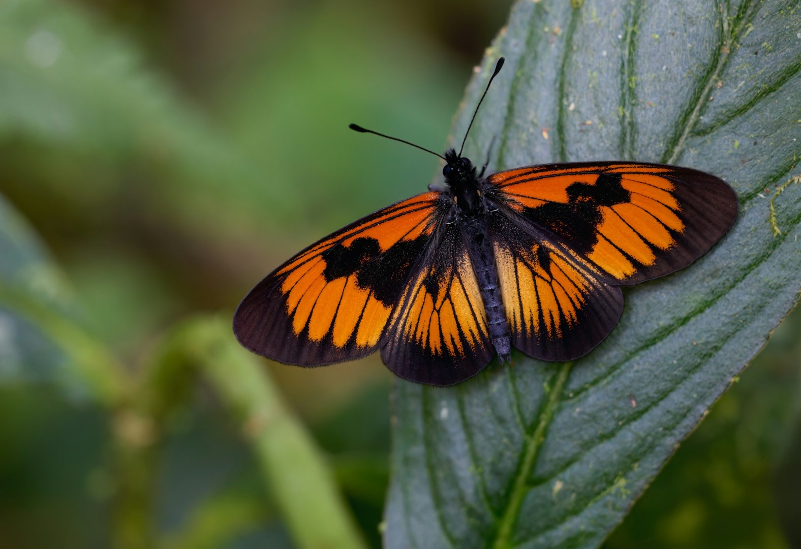  Photo Credit: Photo by Zdeněk Macháček on Unsplash