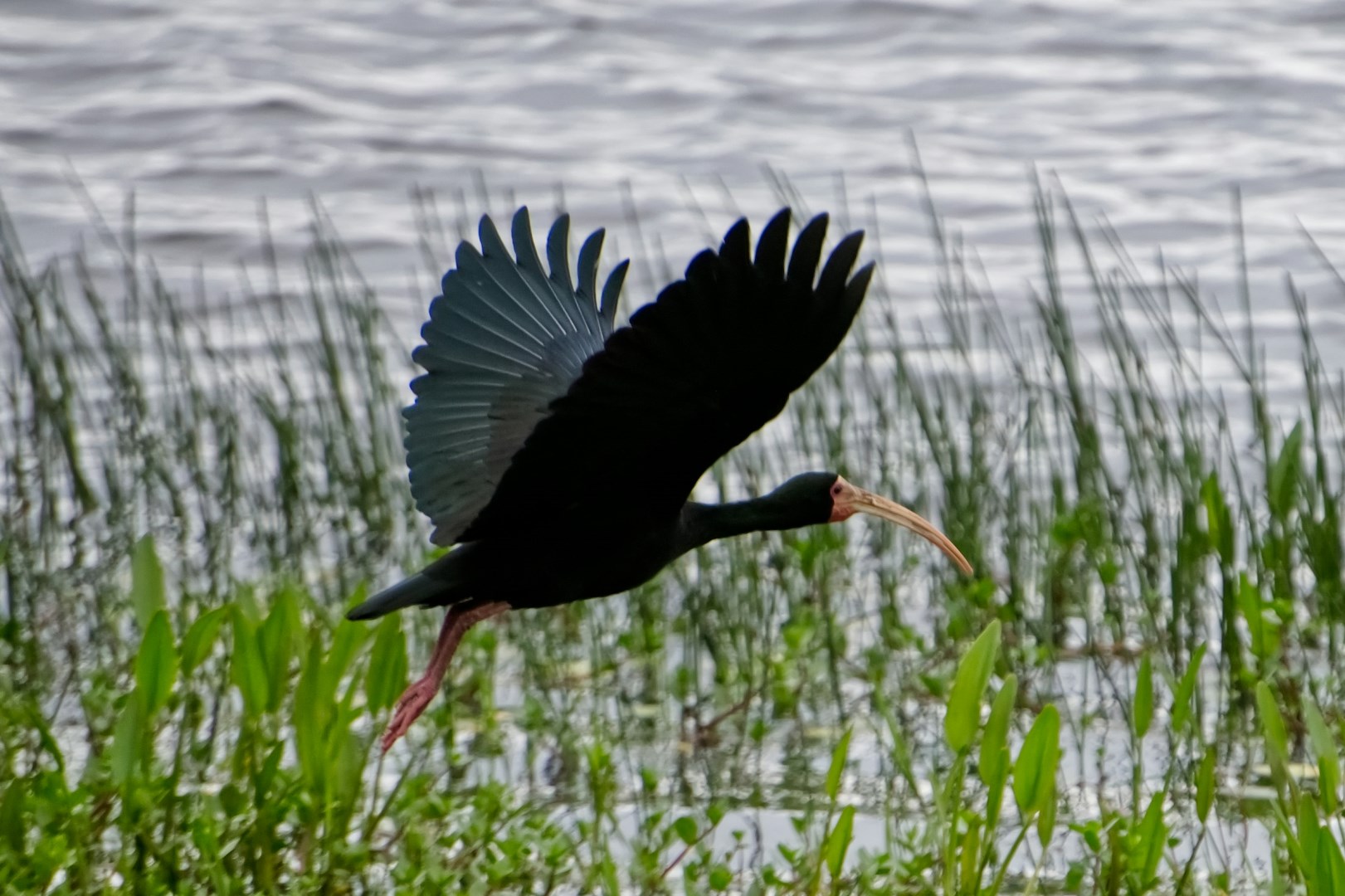  Photo Credit: Photo by Osmar do Canto on Unsplash