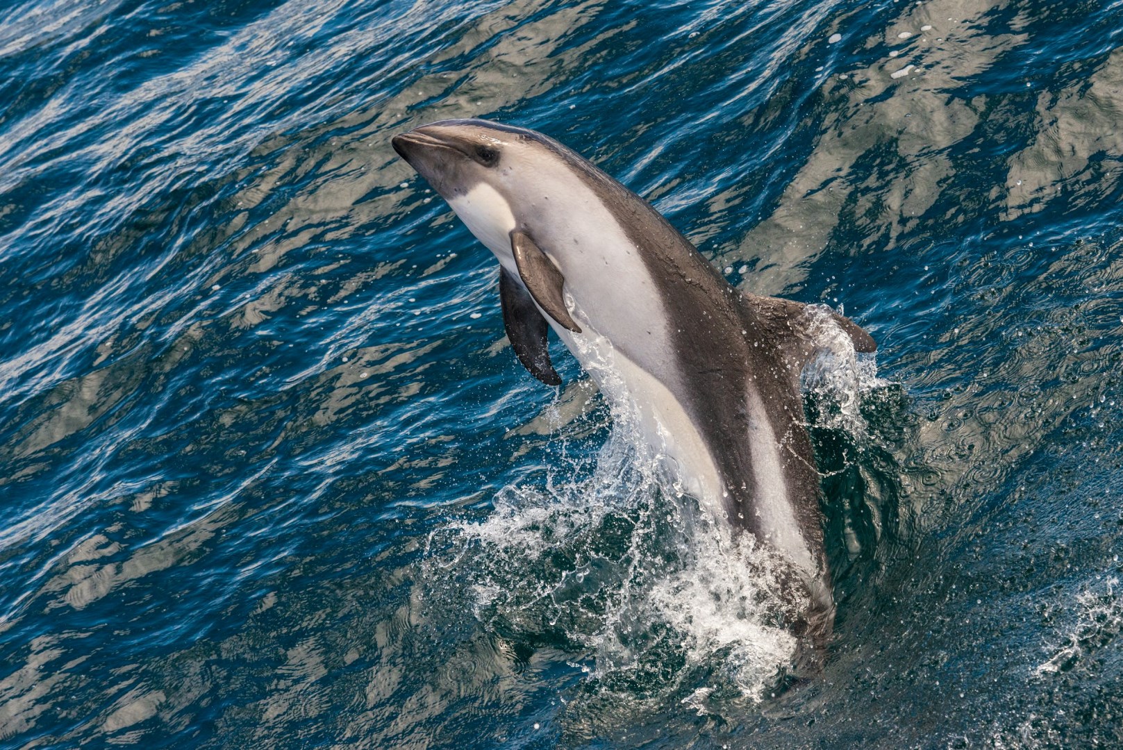  Photo Credit: Photo by Paul Carroll on Unsplash