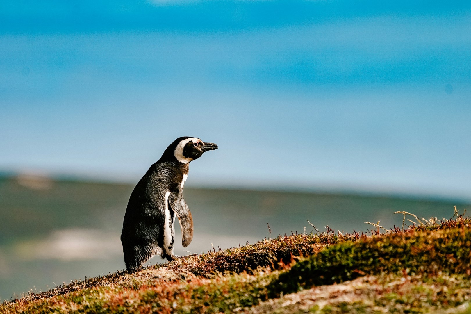  Photo Credit: Photo by Rod Long on Unsplash