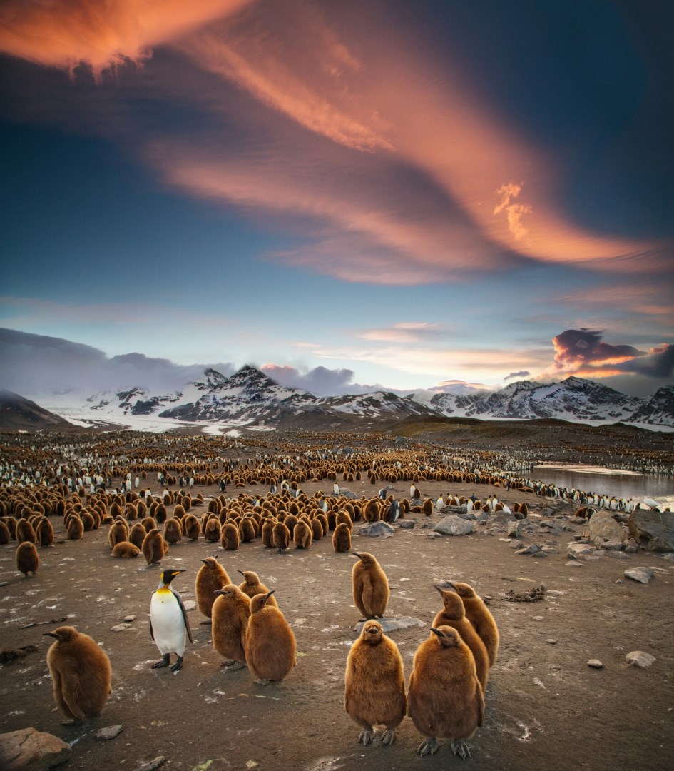  Photo Credit: Photo by Ian Parker on Unsplash