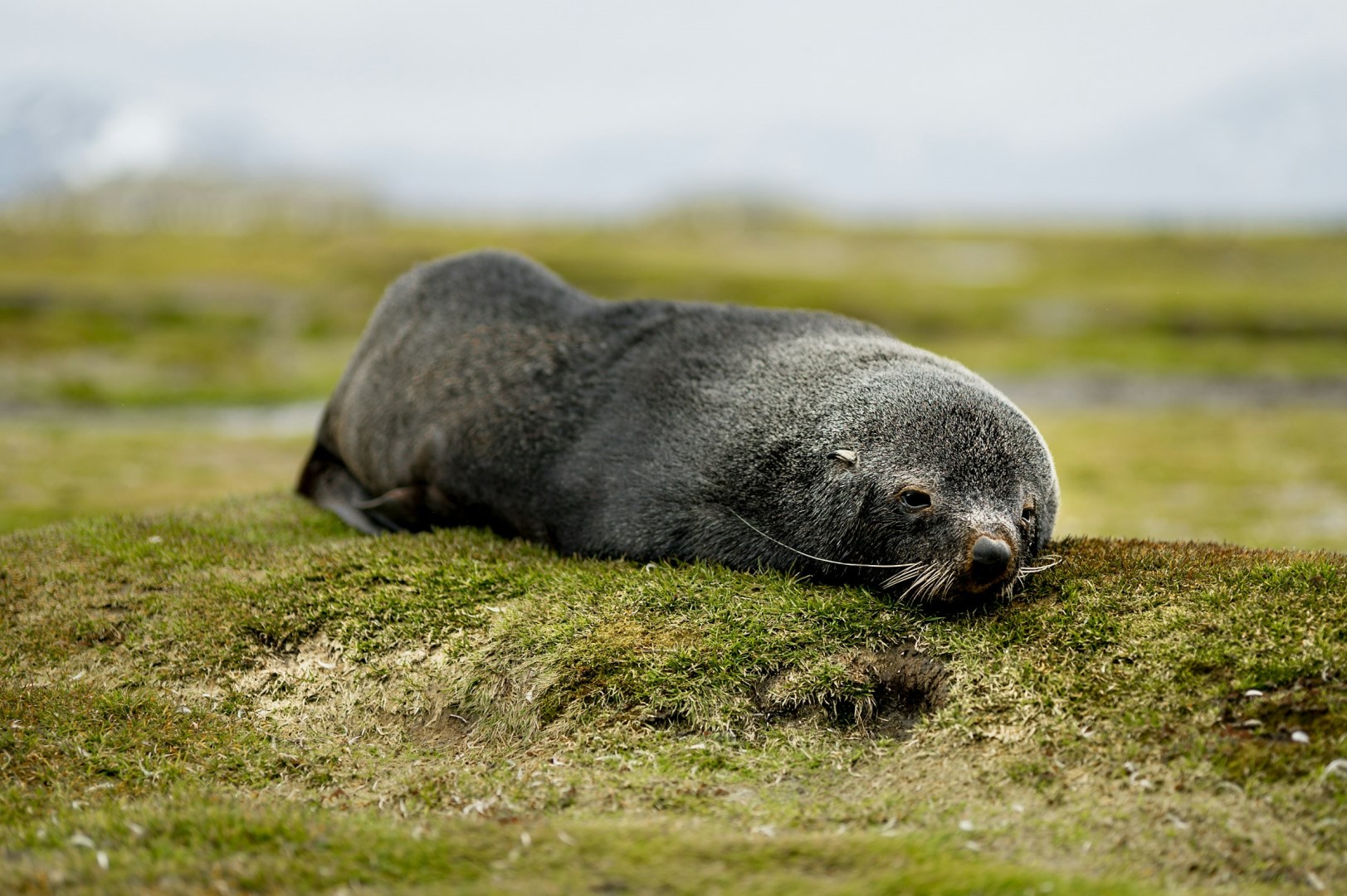  Photo Credit: Photo by Hubert Neufeld on Unsplash