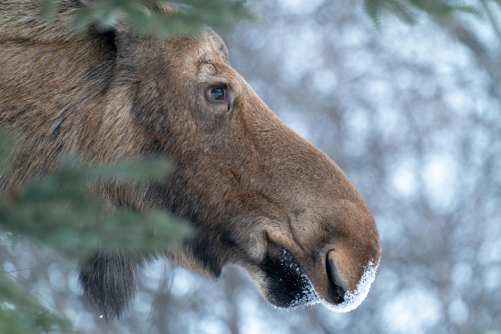  Photo Credit: Photo by Vadym Shashkov on Unsplash