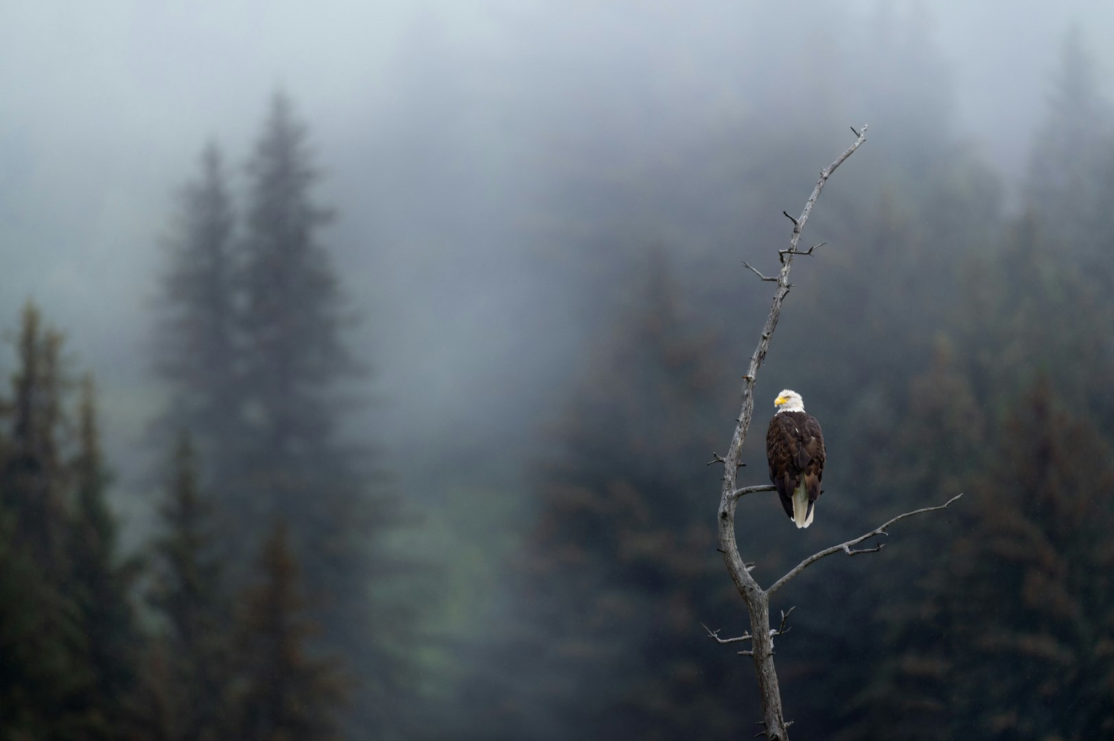  Photo Credit: Photo by Ray Hennessy on Unsplash
