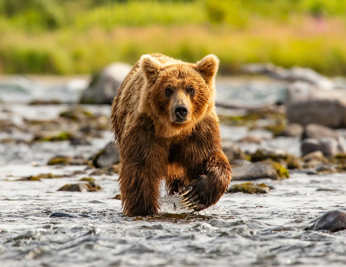  Photo Credit: Photo by Chris Oggerino on Unsplash