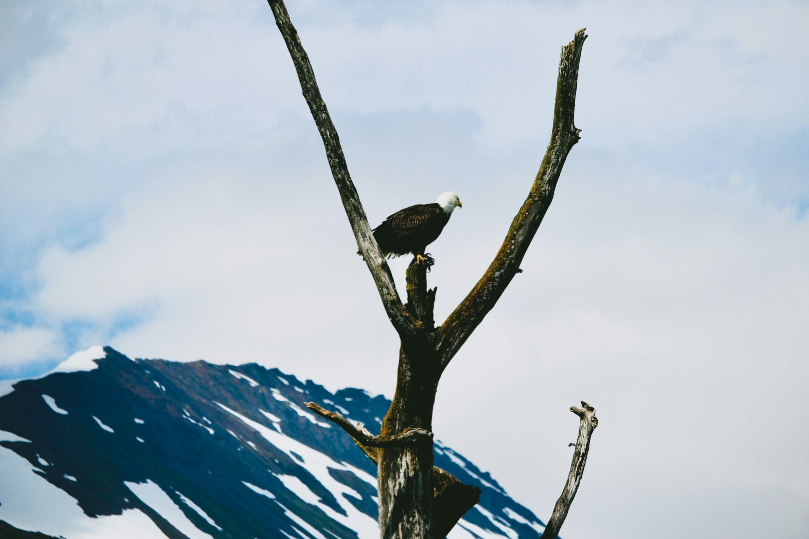  Photo Credit: Photo by Leo Heisenberg on Unsplash