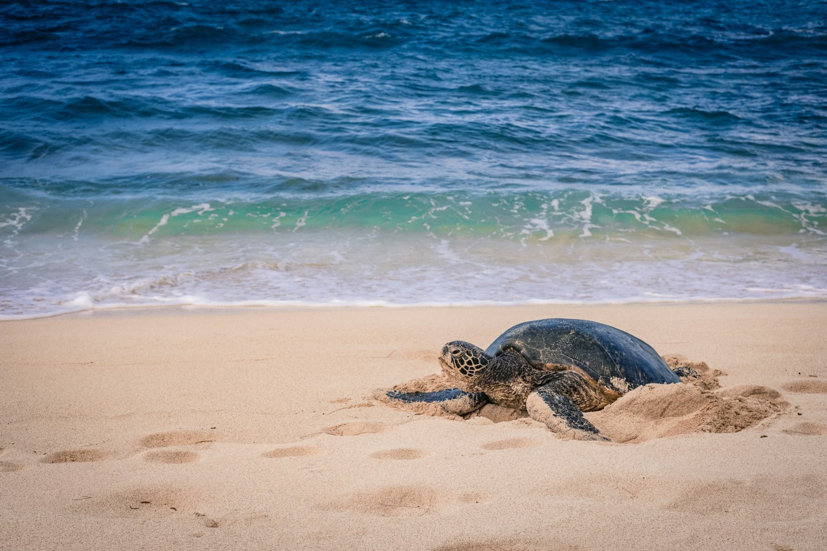  Photo Credit: Photo by Amanda Phung on Unsplash