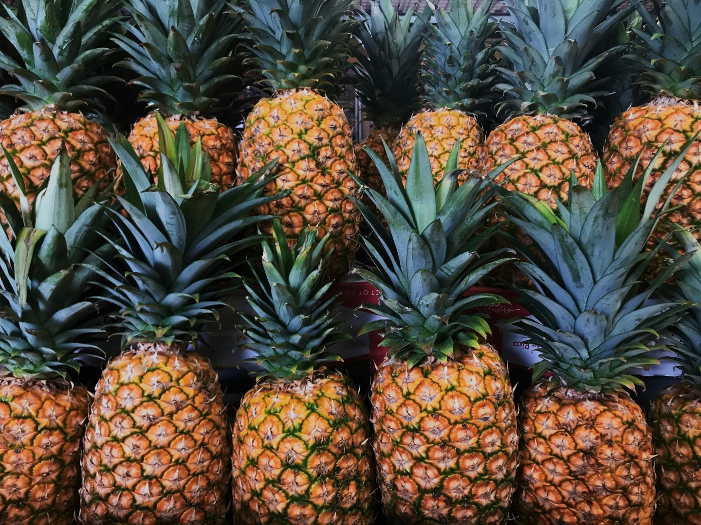 Pineapple - Photo Credit: Photo by Juno Jo on Unsplash