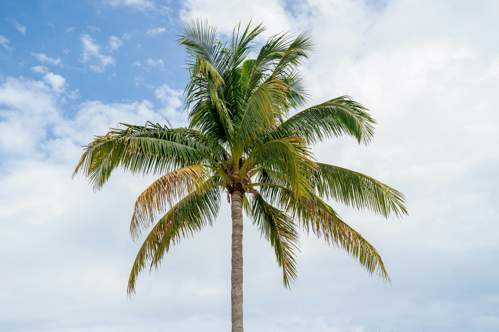  Photo Credit: Photo by R.D. Smith on Unsplash